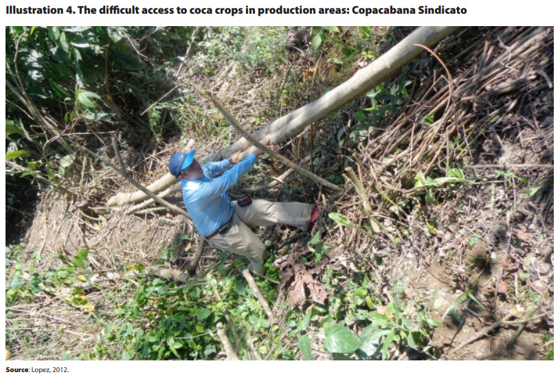 Documentos_4_illustration_4