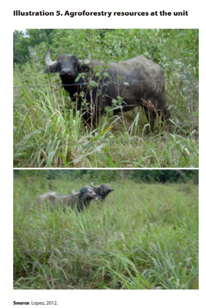 Documentos_4_illustration_5