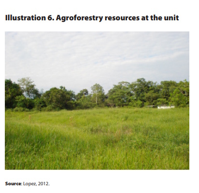 Documentos_4_illustration_6