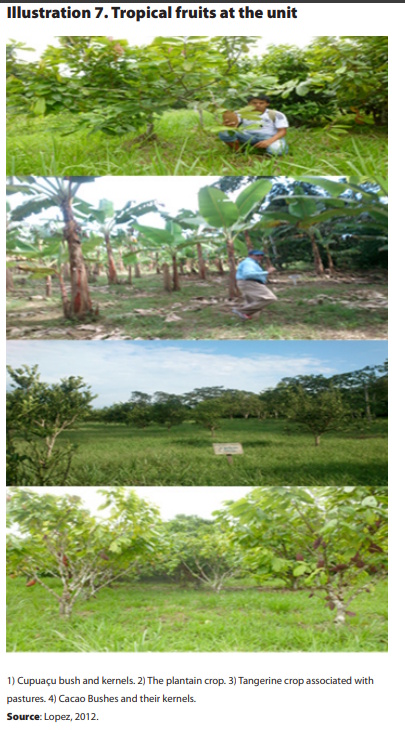 Documentos_4_illustration_7.