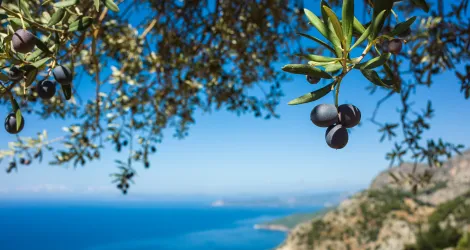 Linea geografica El gran Mediterráneo