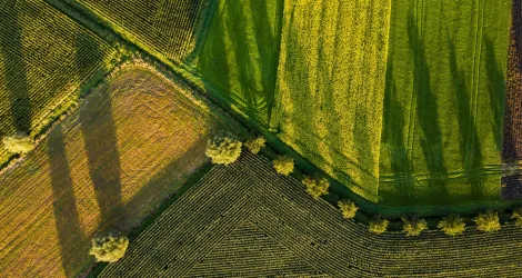 Linea estrategica Desarrollo sostenible