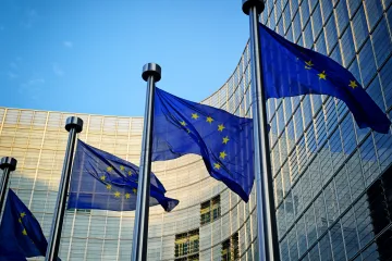 Monografia European elections 2024. A turning point for EU integration?