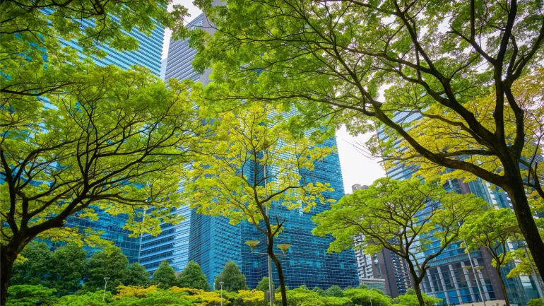 Vista de una calle urbana con árboles frondosos y edificios modernos detrás