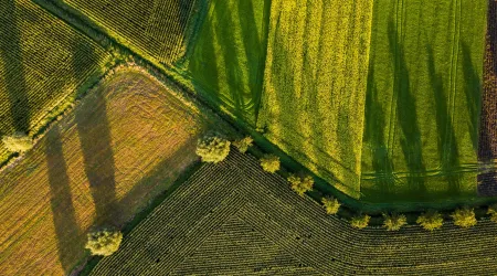Linea estrategica Desarrollo sostenible