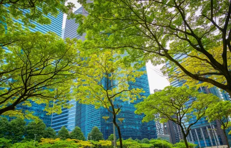 Vista de una calle urbana con árboles frondosos y edificios modernos detrás