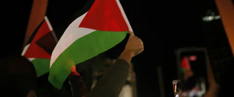 Manifestación con banderas de palestina